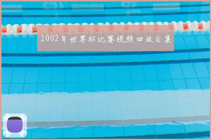 2002年世界杯比赛视频回放合集
