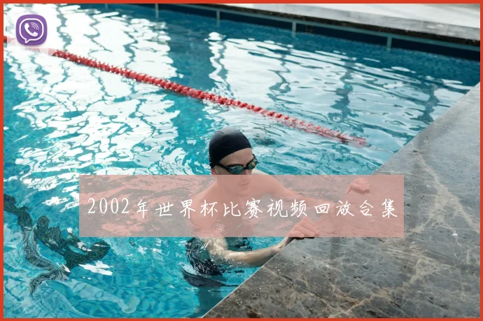 2002年世界杯比赛视频回放合集