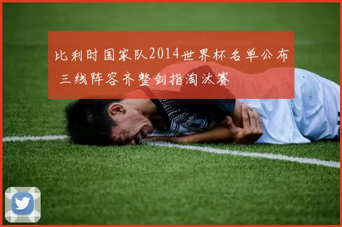 比利时国家队2014世界杯名单公布 三线阵容齐整剑指淘汰赛