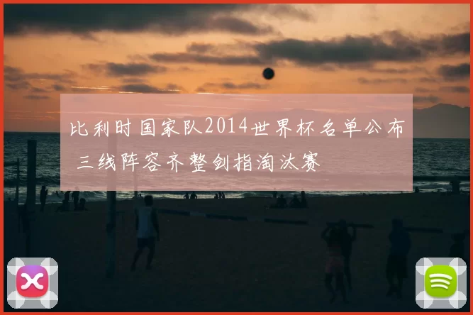 比利时国家队2014世界杯名单公布 三线阵容齐整剑指淘汰赛