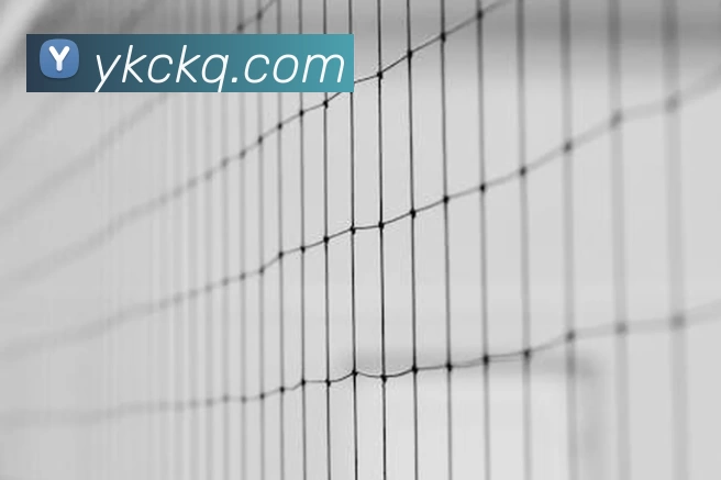 李丽莎欧洲杯首秀破门仍难助球队出线锋线磨合成后续关键问题